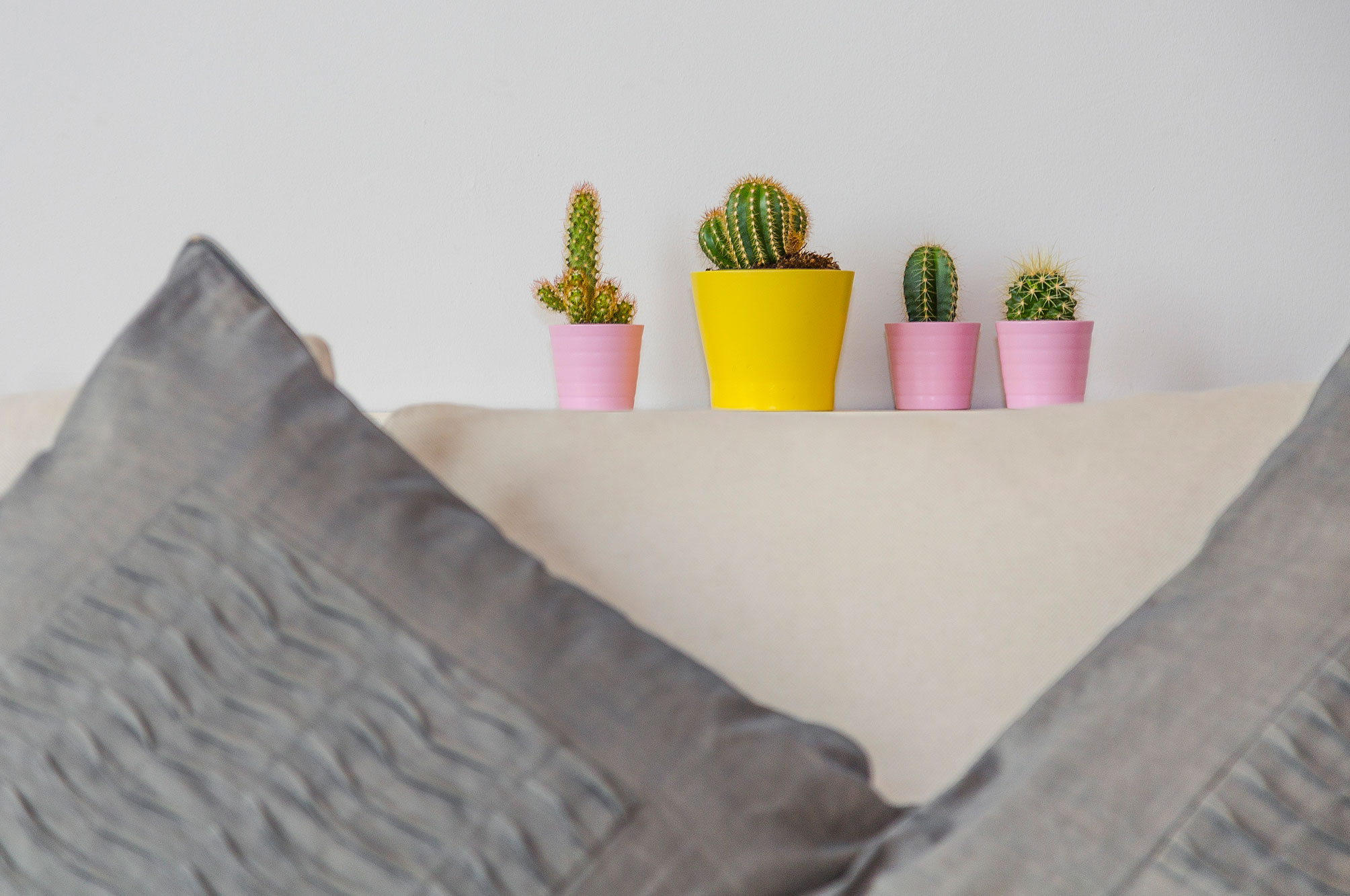 Host Maker Photography cactus and sofa